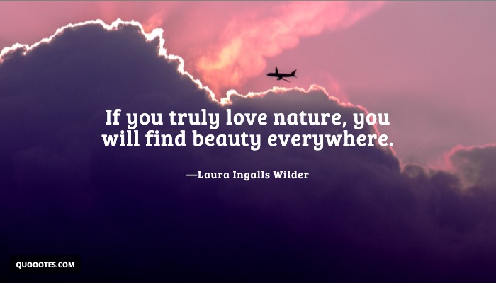 Image with text about If you truly love nature, you will find beauty everywhere.