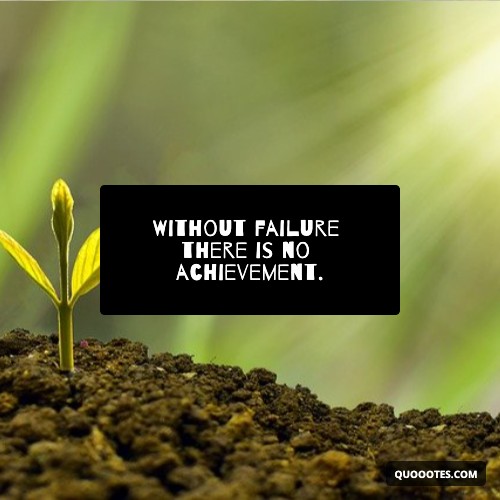 Image with text about Without failure there is no achievement.