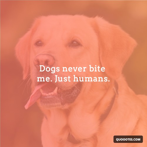 Dogs never bite me. Just humans.