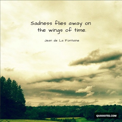 Image with text about Sadness flies away on the wings of time.