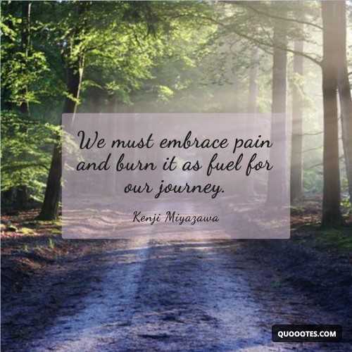 Image with text about We must embrace pain and burn it as fuel for our journey.