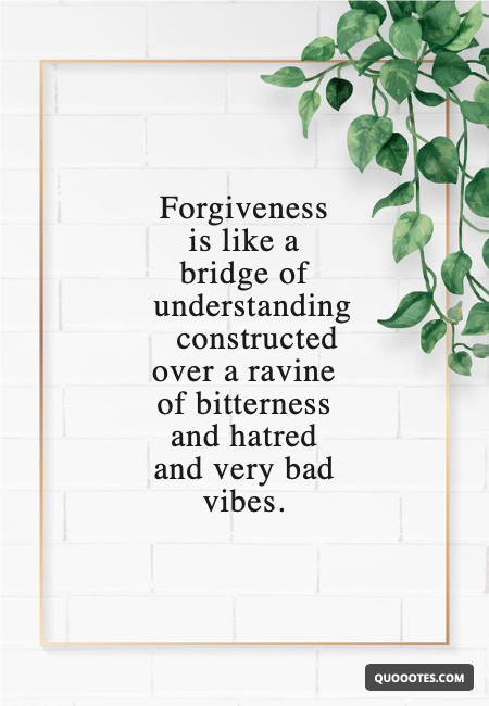 Image with text about Forgiveness is like a bridge of understanding constructed over a ravine of bitterness and hatred and very bad vibes.