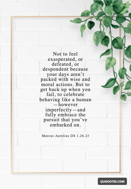 Image with text about Not to feel exasperated, or defeated, or despondent because your days aren’t packed with wise and moral actions. But to get back up when you fail, to celebrate behaving like a human—however imperfectly—and fully embrace the pursuit that you’ve embarked on.