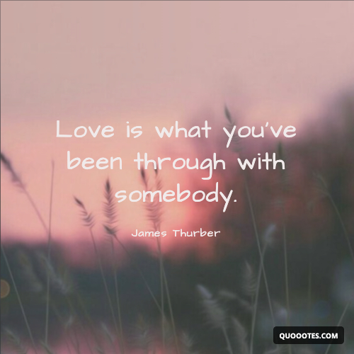 Love is what you’ve been through with somebody.
