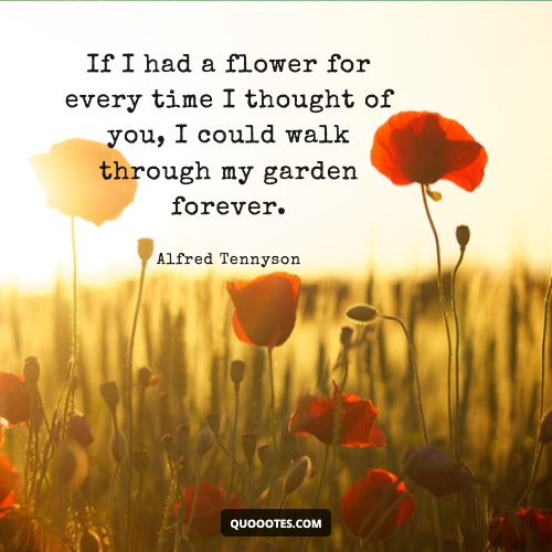 Image with text about If I had a flower for every time I thought of you, I could walk through my garden forever.