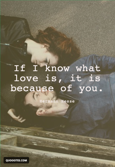 Image with text about If I know what love is, it is because of you.