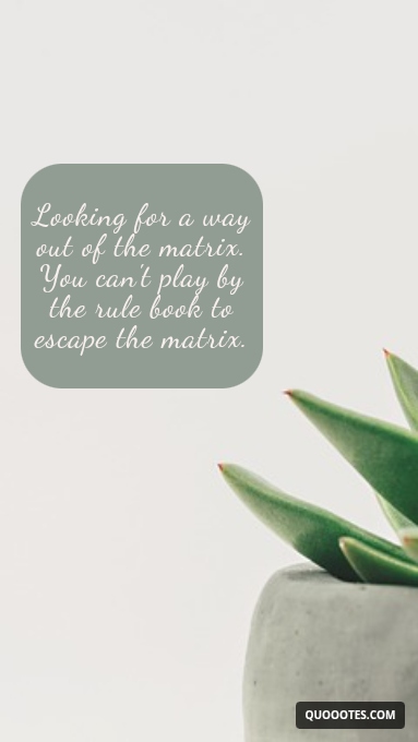 Image with text about Looking for a way out of the matrix. You can't play by the rule book to escape the matrix.